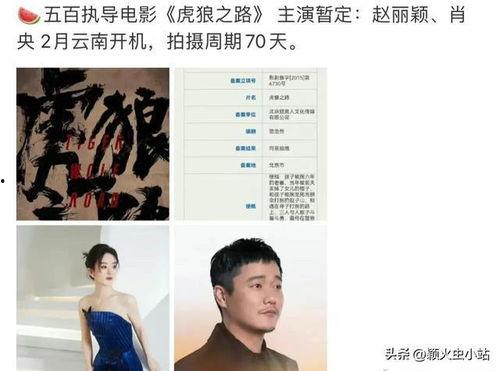 虎狼之路爆料视频在线观看,揭秘爆料视频背后的精彩瞬间 第2张 虎狼之路爆料视频在线观看,揭秘爆料视频背后的精彩瞬间 第2张